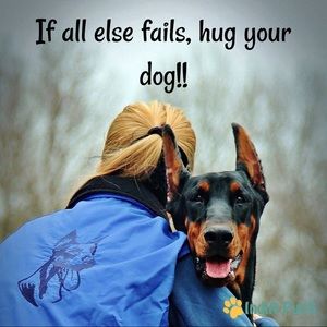 Meet your Posher, Kristine